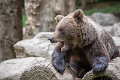 ours (1)